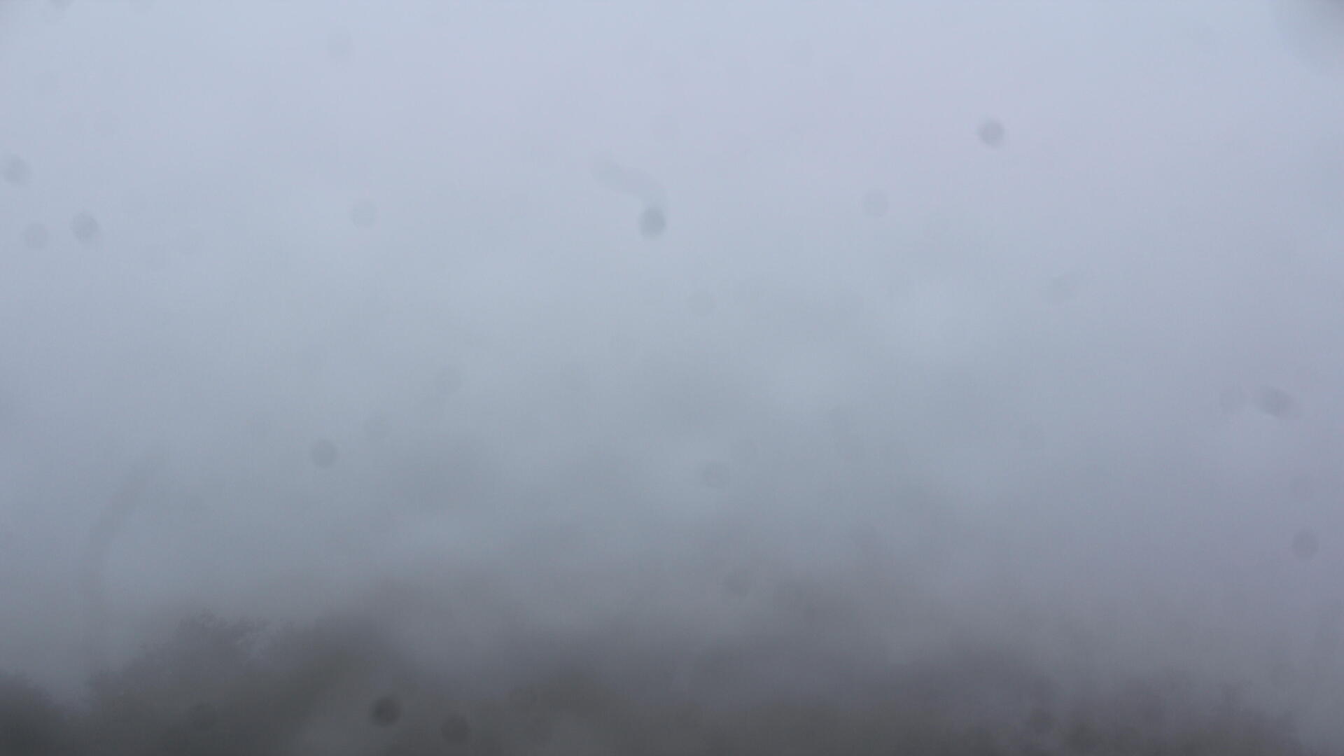 Live Ansicht Webcam Lausche-Nordwest