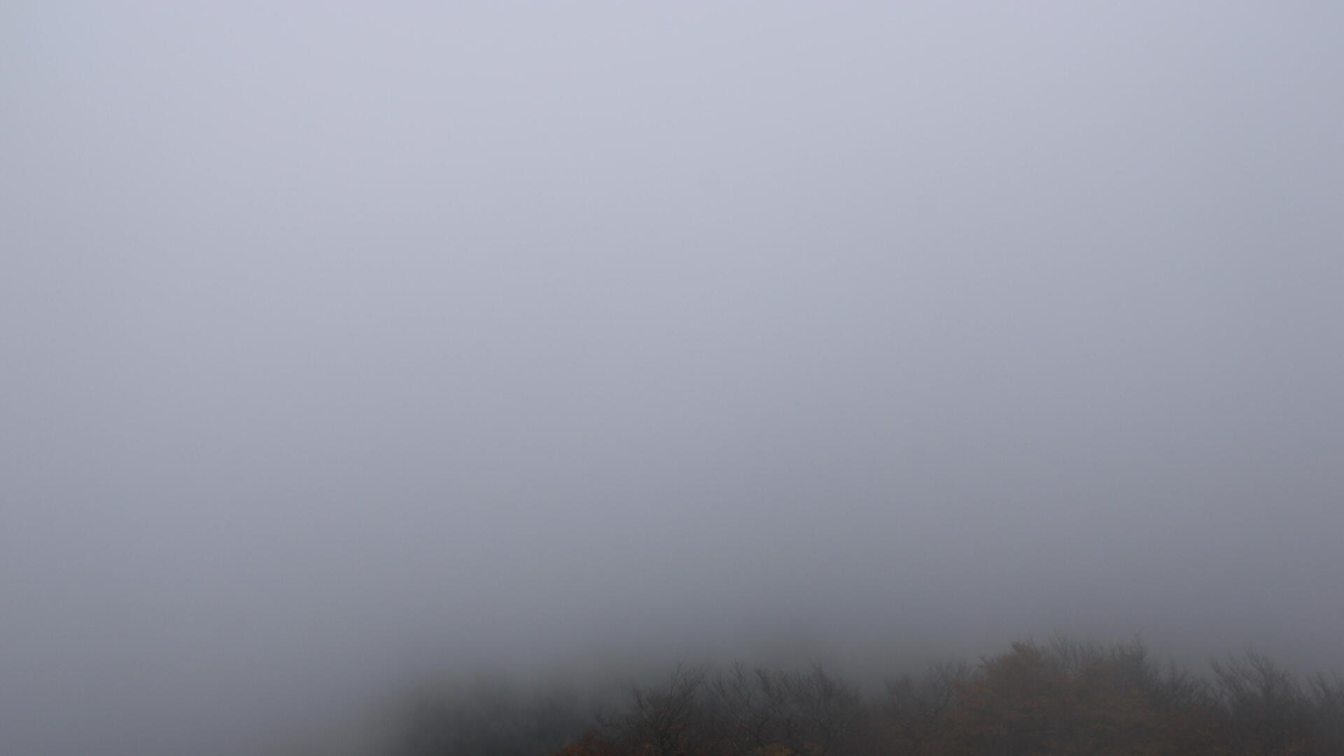 Live Ansicht Webcam Lausche-Ost