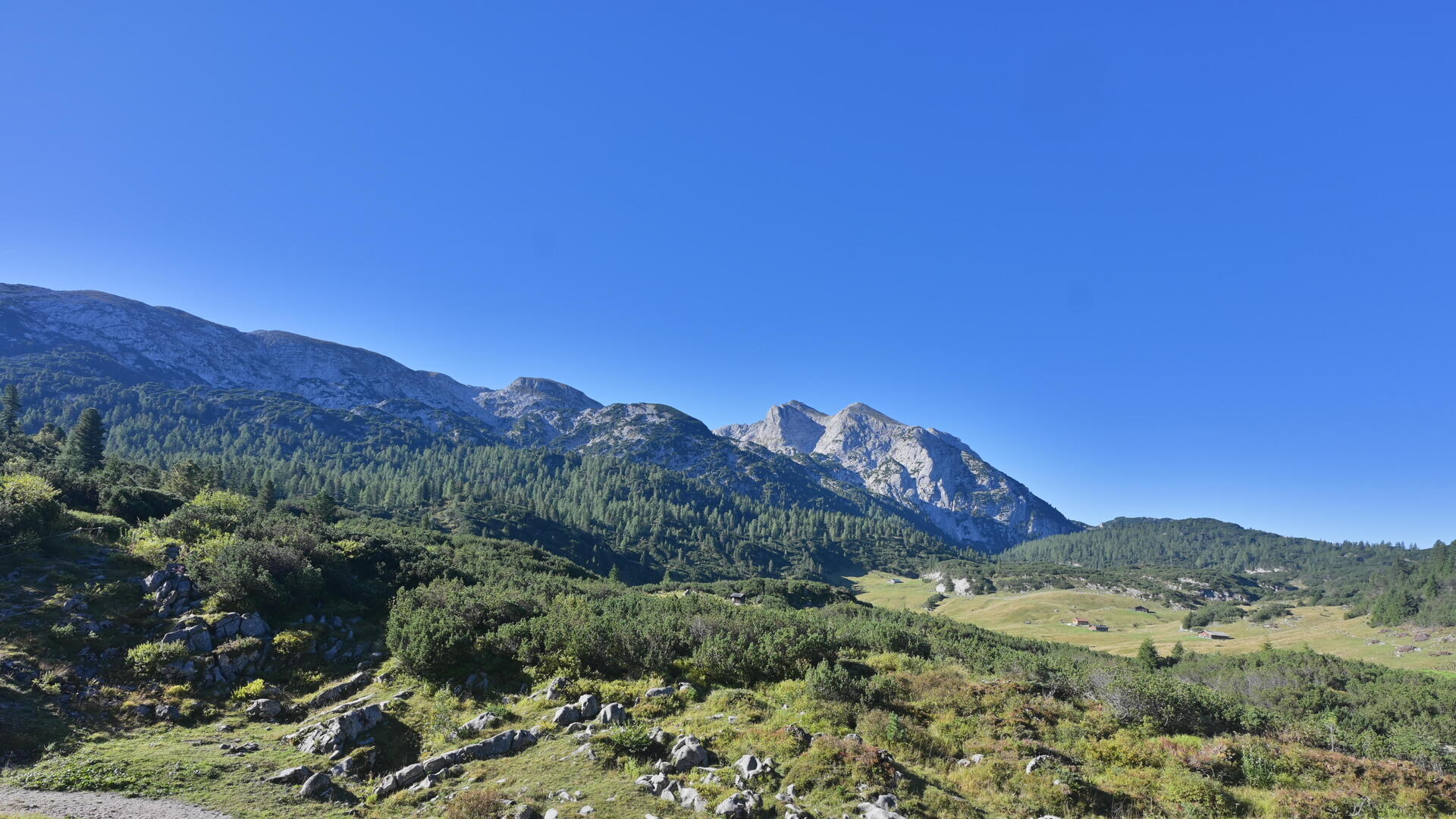 Live Ansicht Webcam Neue Traunsteiner Hütte (Reiter Alpe)