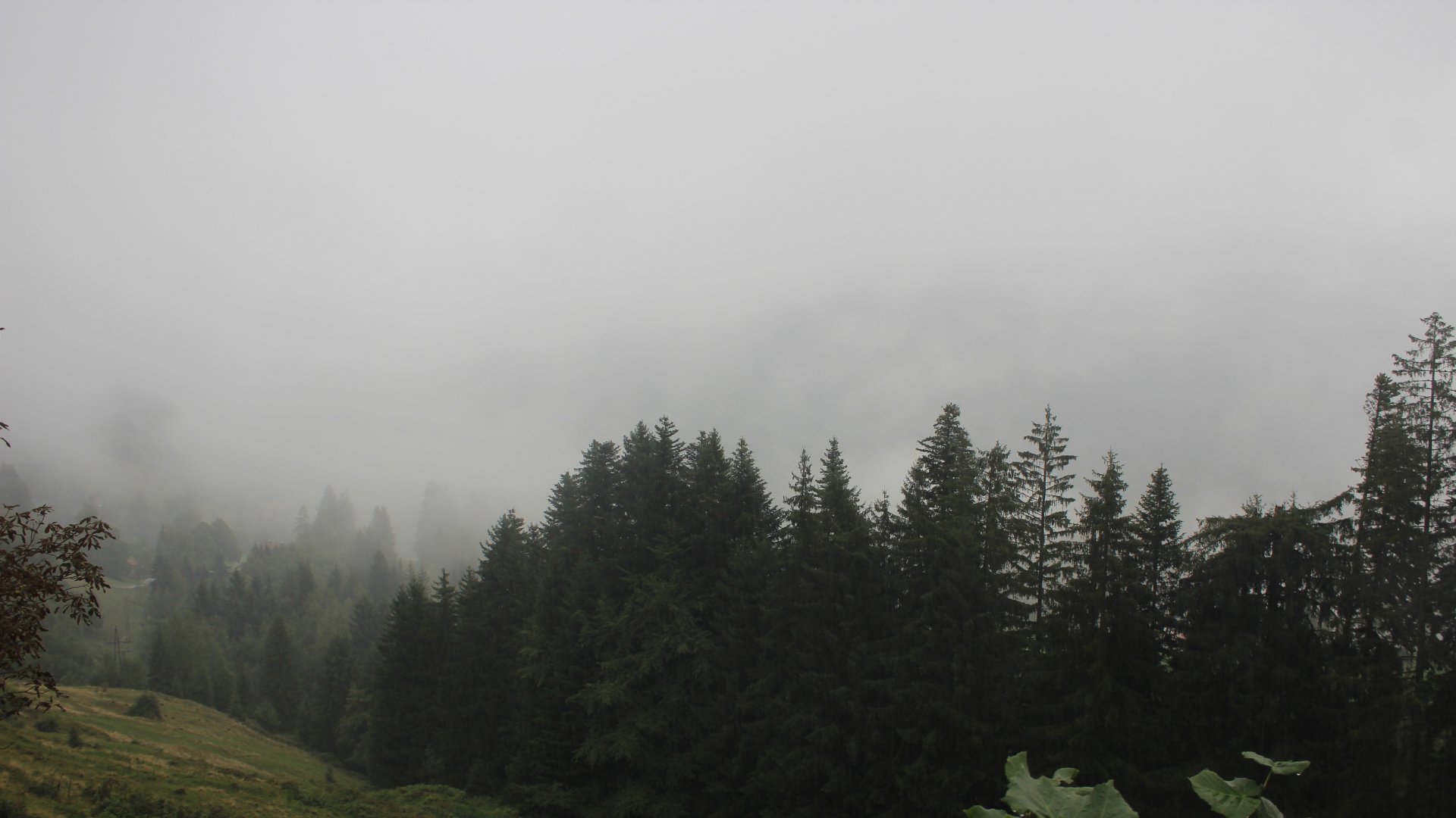 Live Ansicht Webcam Niederndorferberg