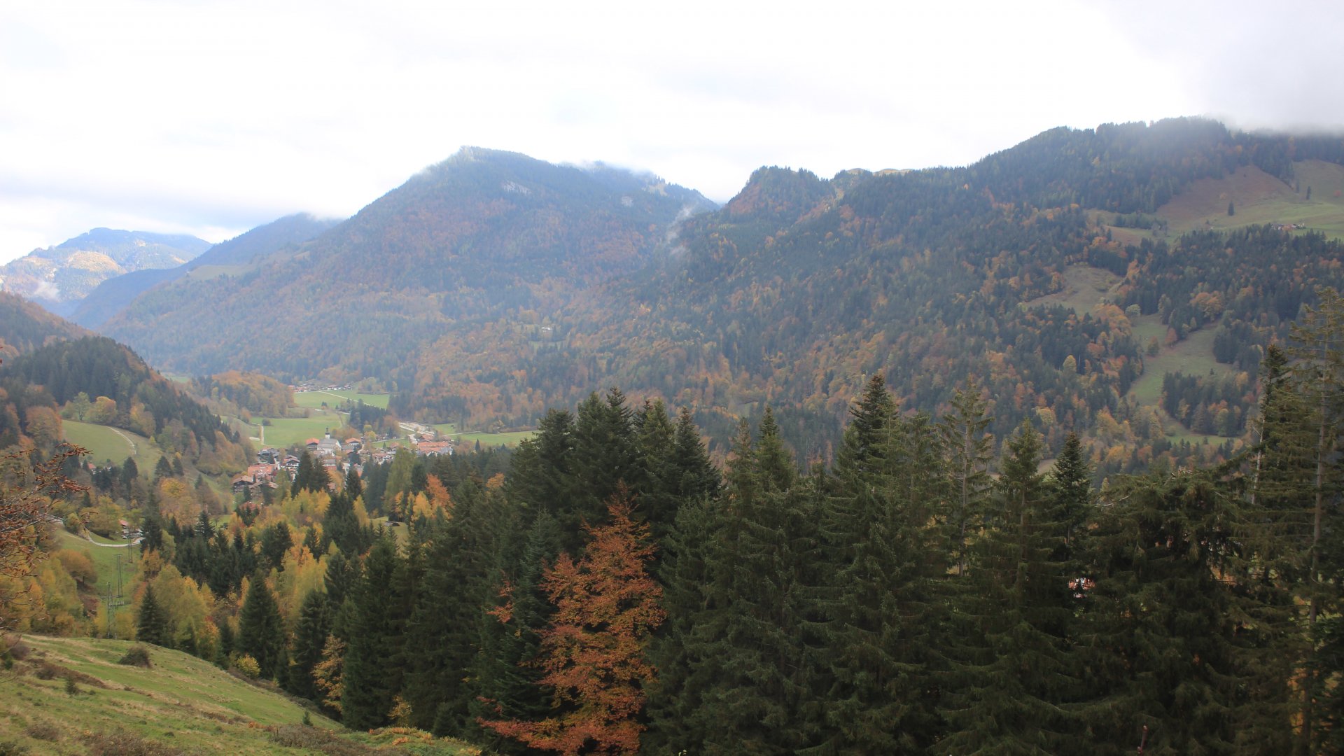 Live Ansicht Webcam Niederndorferberg