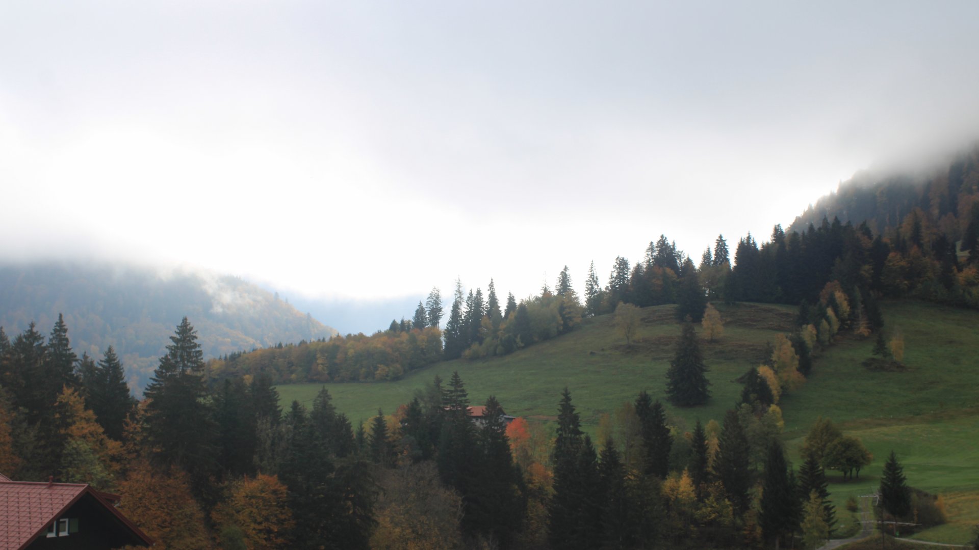 Live Ansicht Webcam Oberstaufen-Blick zum Hochgrat