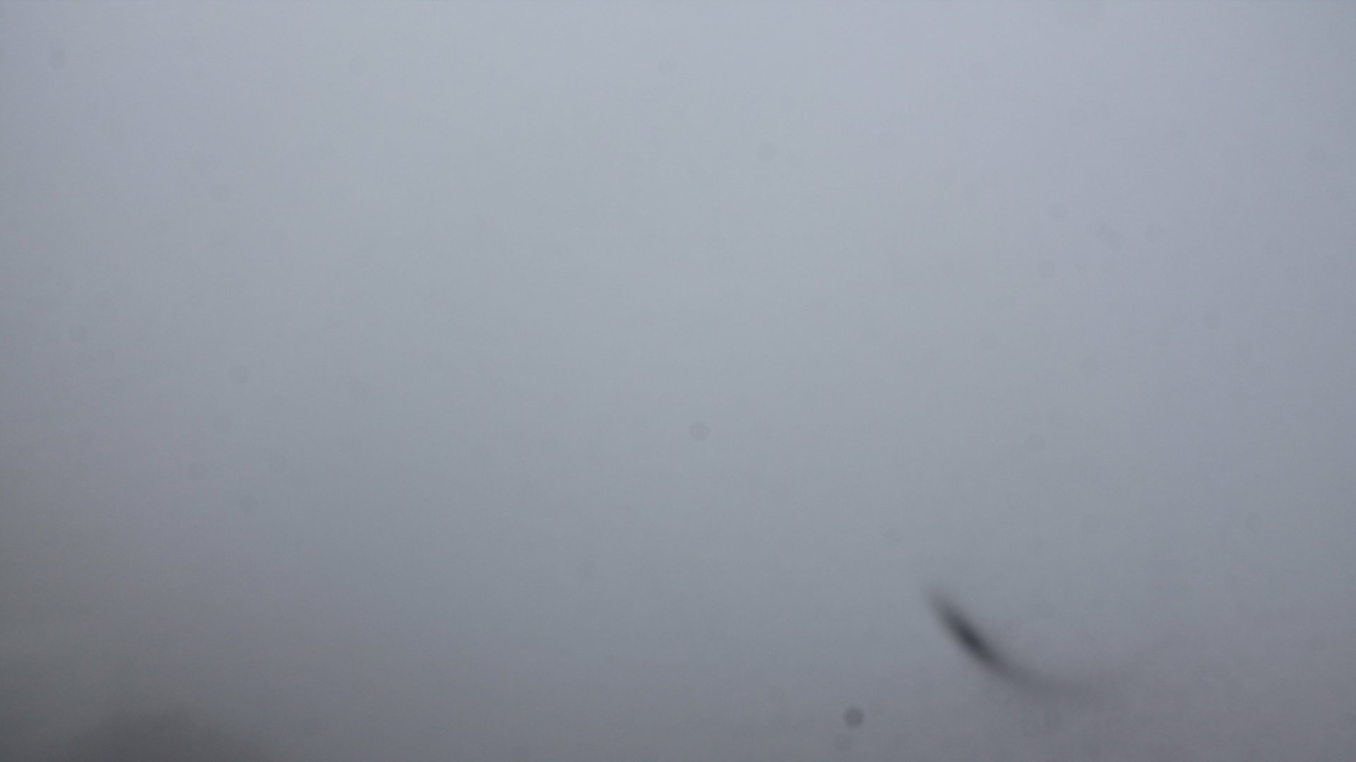 Live Ansicht Webcam Rauschberg
