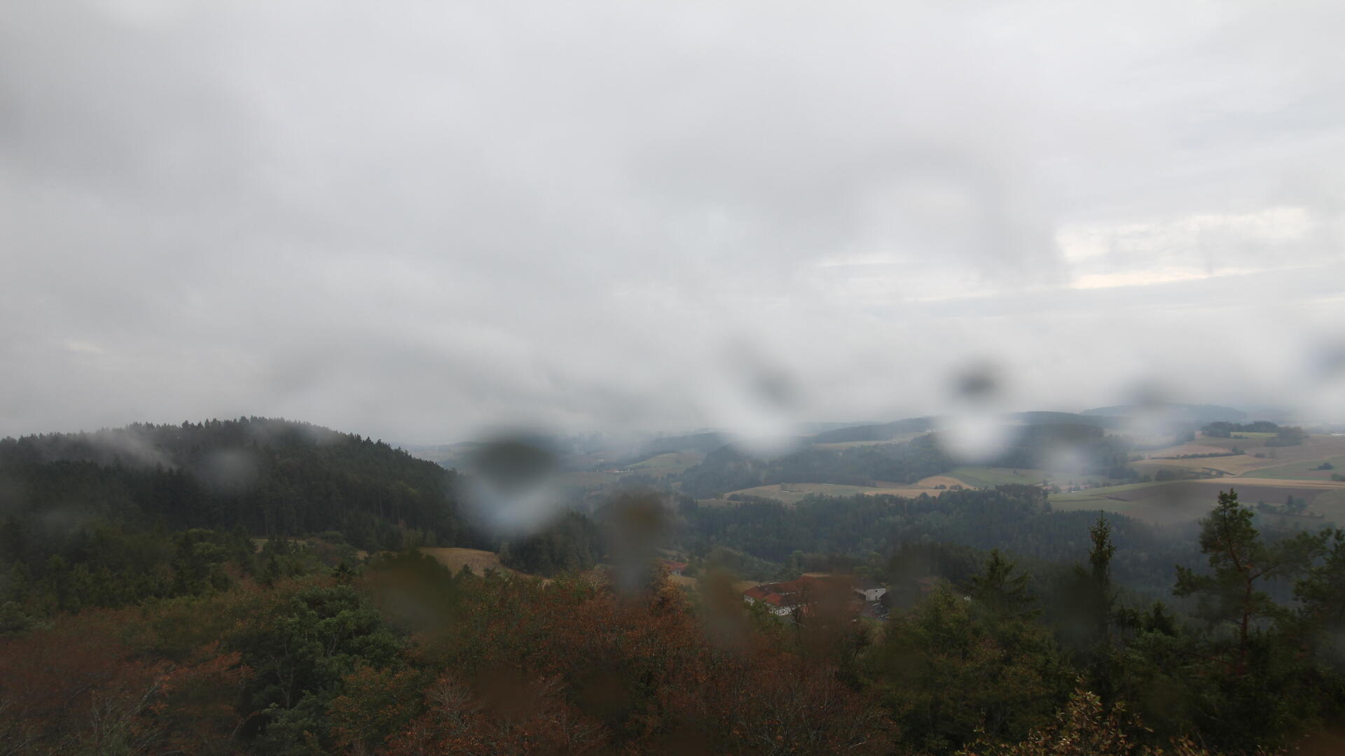 Live Ansicht Webcam UpperTrails | Roadlberg