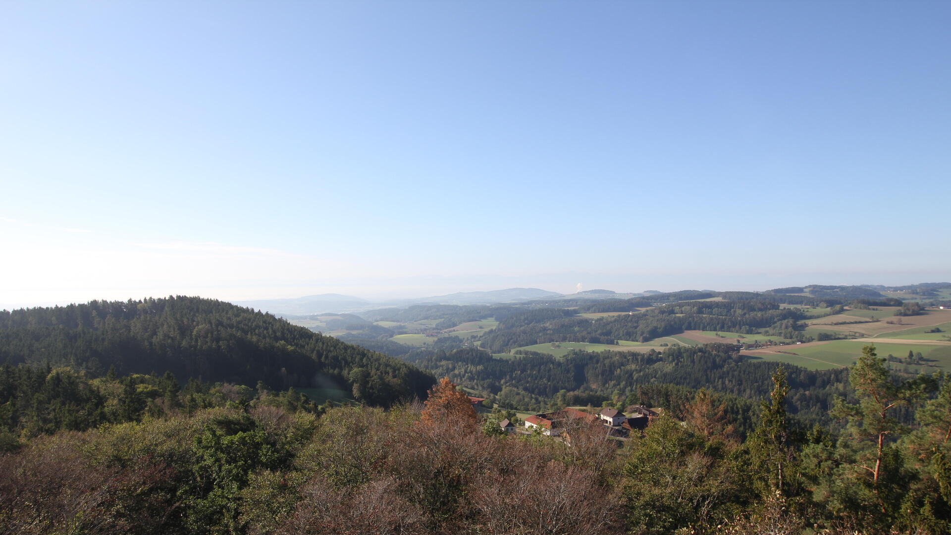 Live Ansicht Webcam UpperTrails | Roadlberg