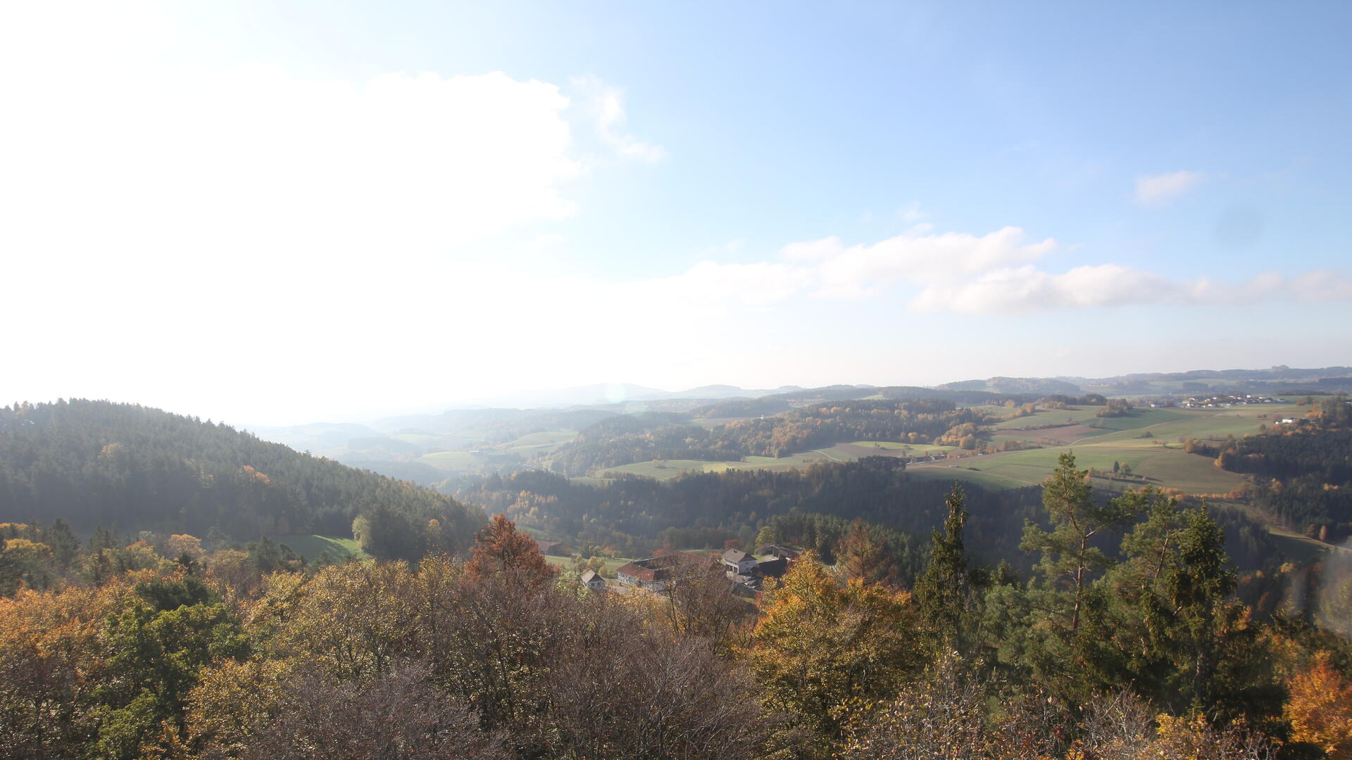 Live Ansicht Webcam UpperTrails | Roadlberg