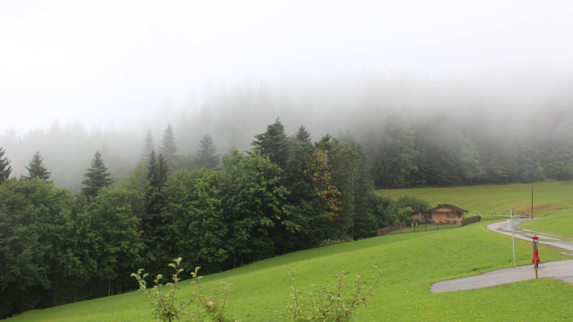 Live Ansicht Webcam Sachrang-Reichenau