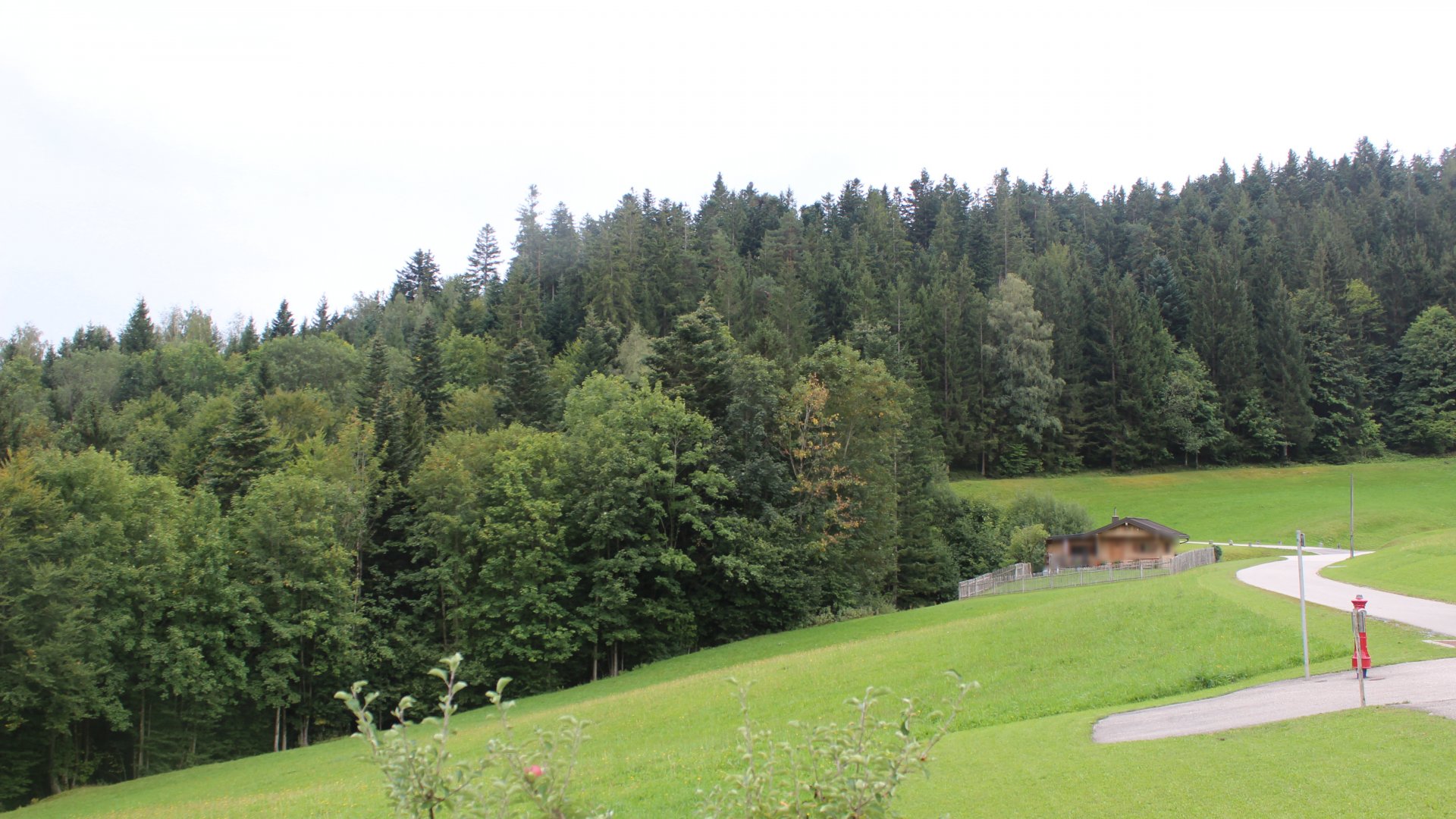 Live Ansicht Webcam Sachrang-Reichenau