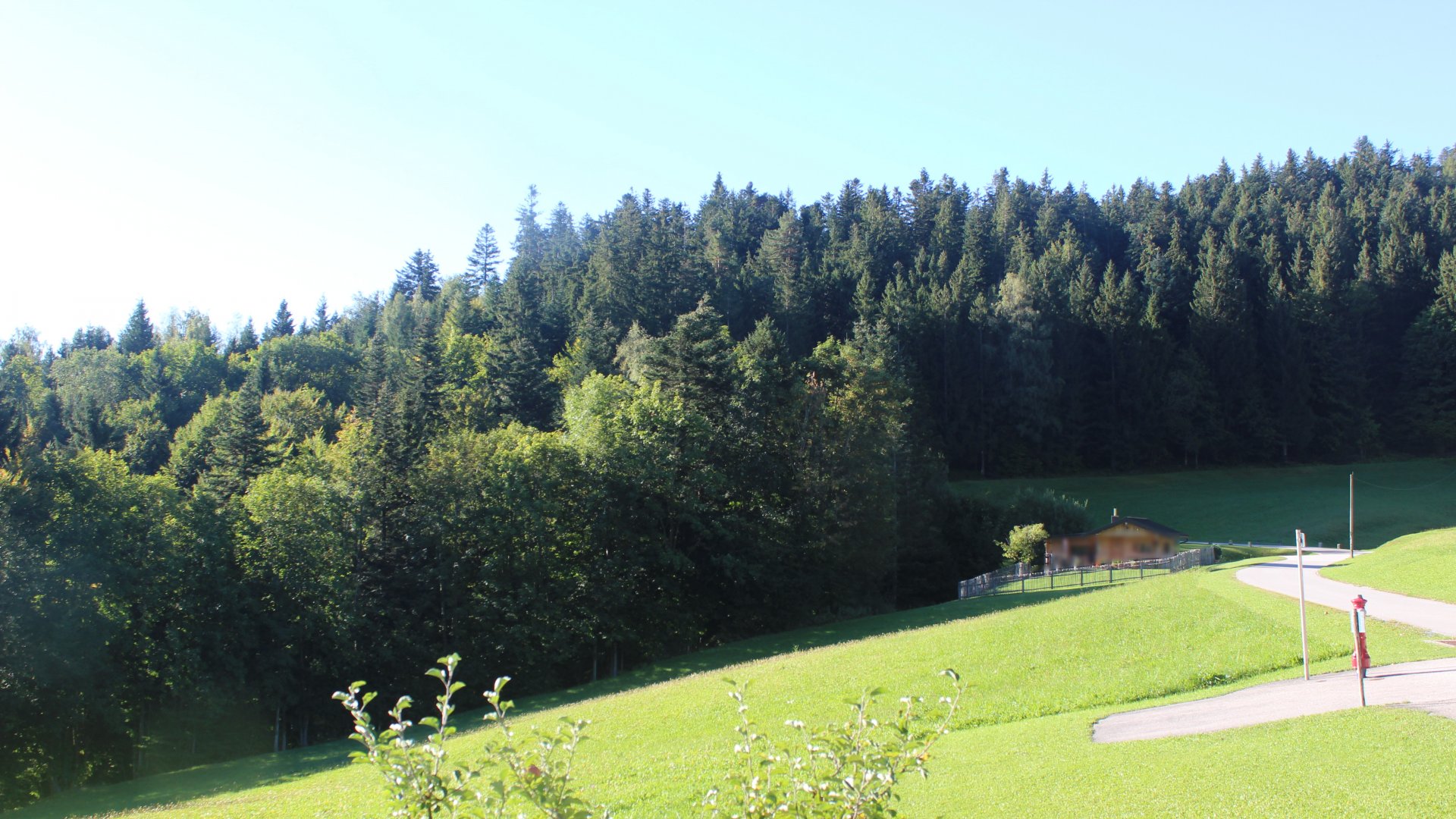 Live Ansicht Webcam Sachrang-Reichenau