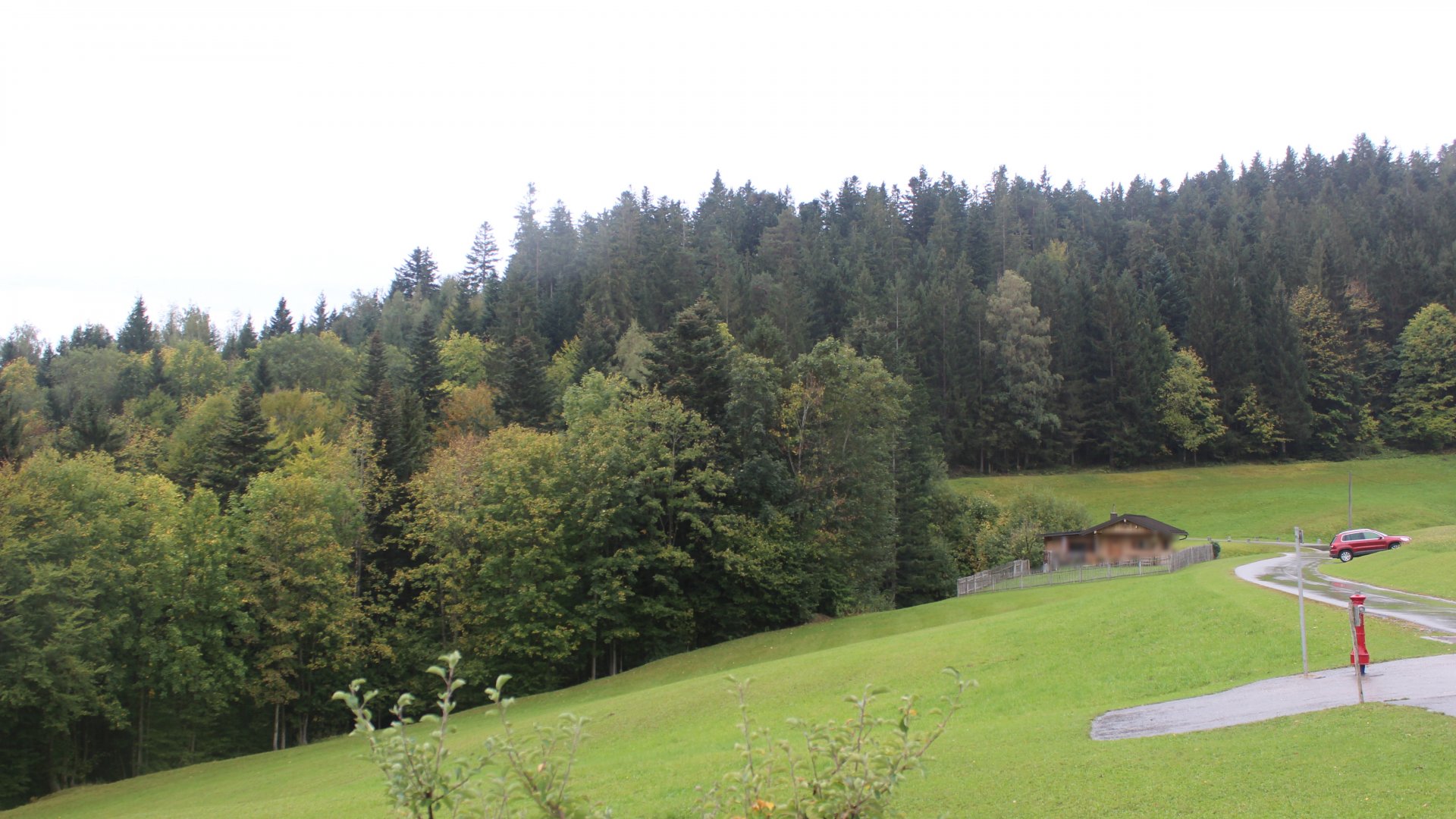 Live Ansicht Webcam Sachrang-Reichenau