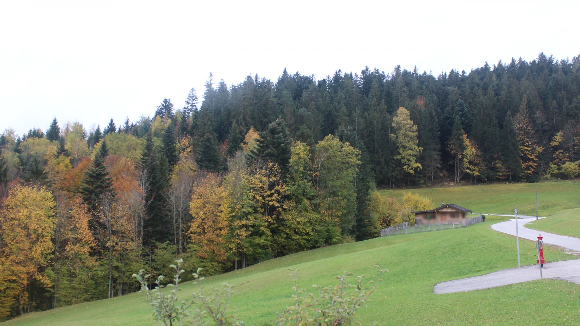 Live Ansicht Webcam Sachrang-Reichenau