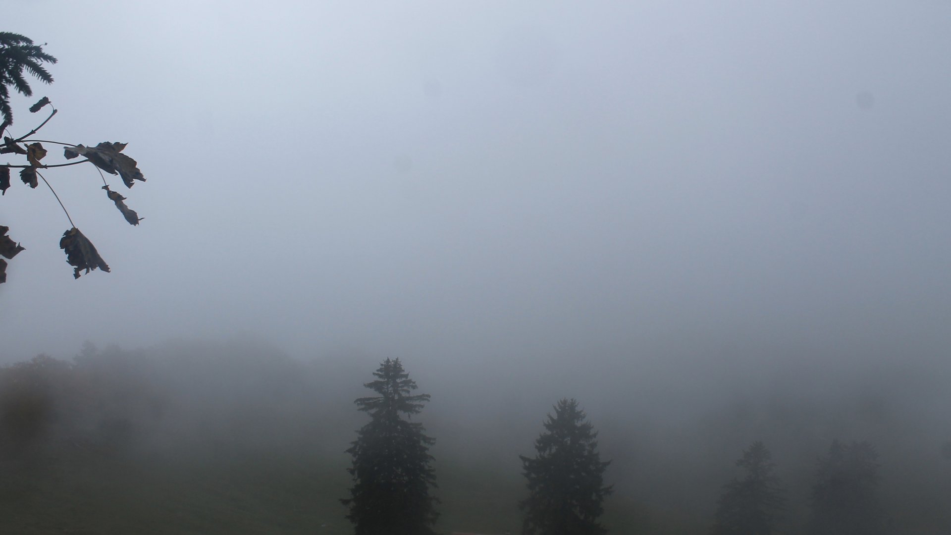 Live Ansicht Webcam Staffn-Alm Richtung Achental