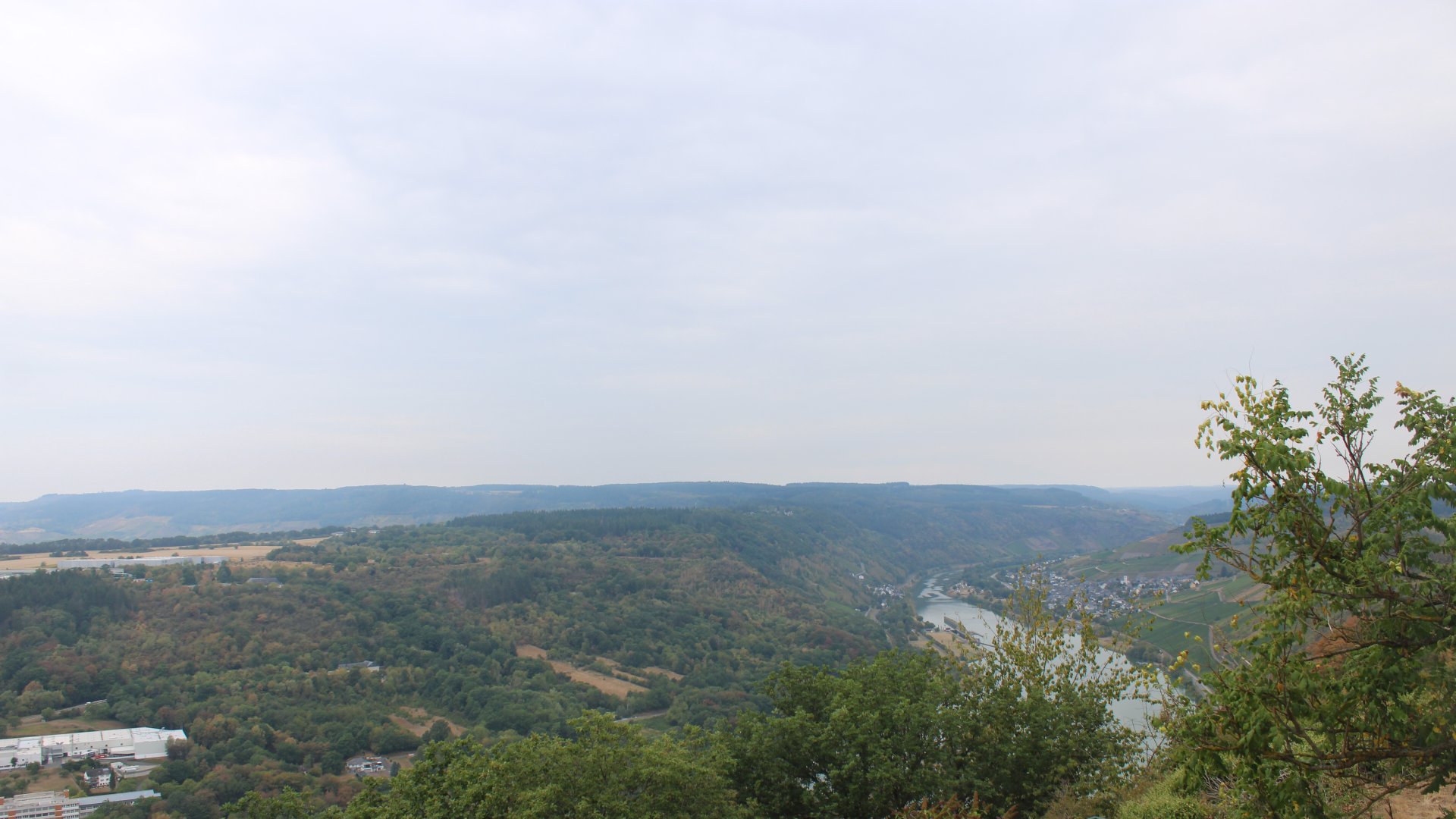 Live Ansicht Webcam Starkenburg über Mosel Richtung Enkirch