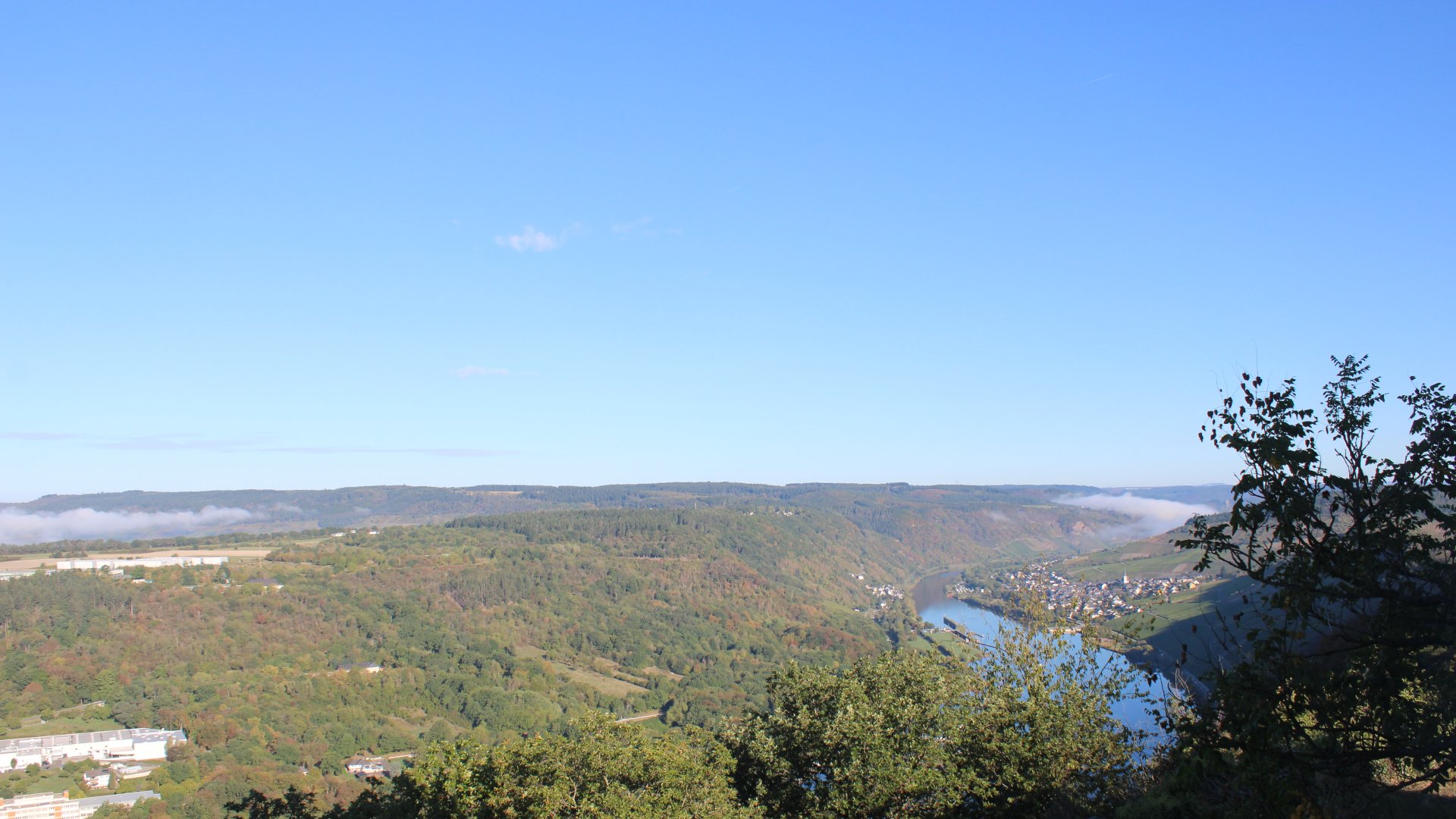 Live Ansicht Webcam Starkenburg über Mosel Richtung Enkirch