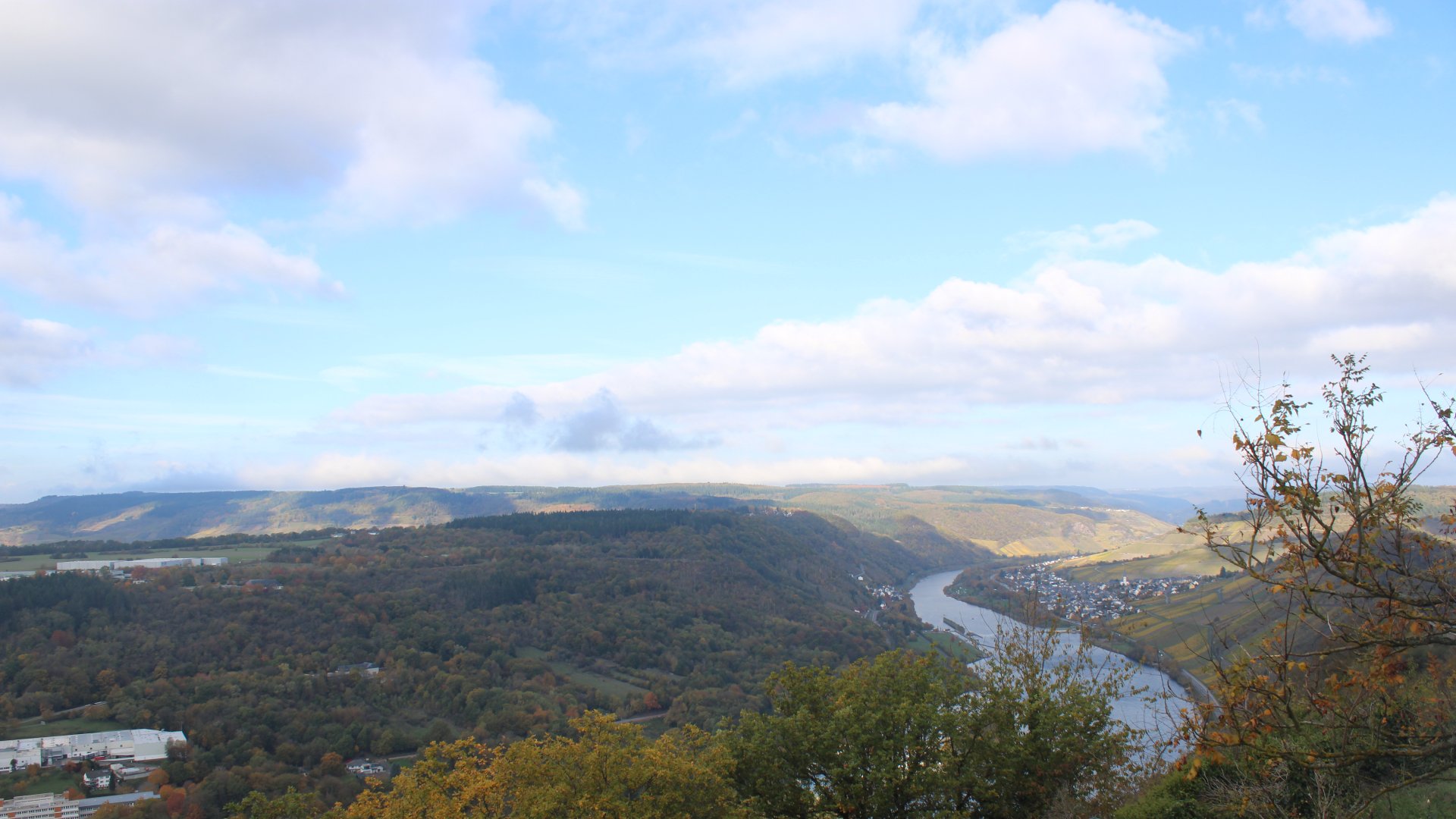 Live Ansicht Webcam Starkenburg über Mosel Richtung Enkirch