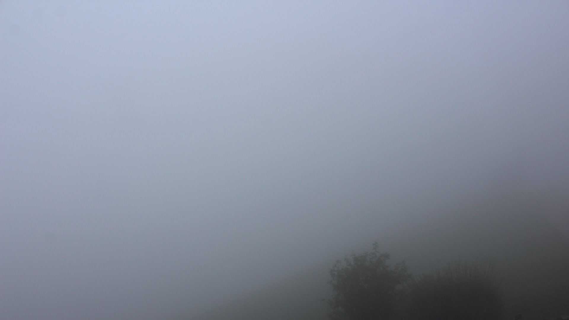 Live Ansicht Webcam Steinlingalm | Richtung Chiemsee