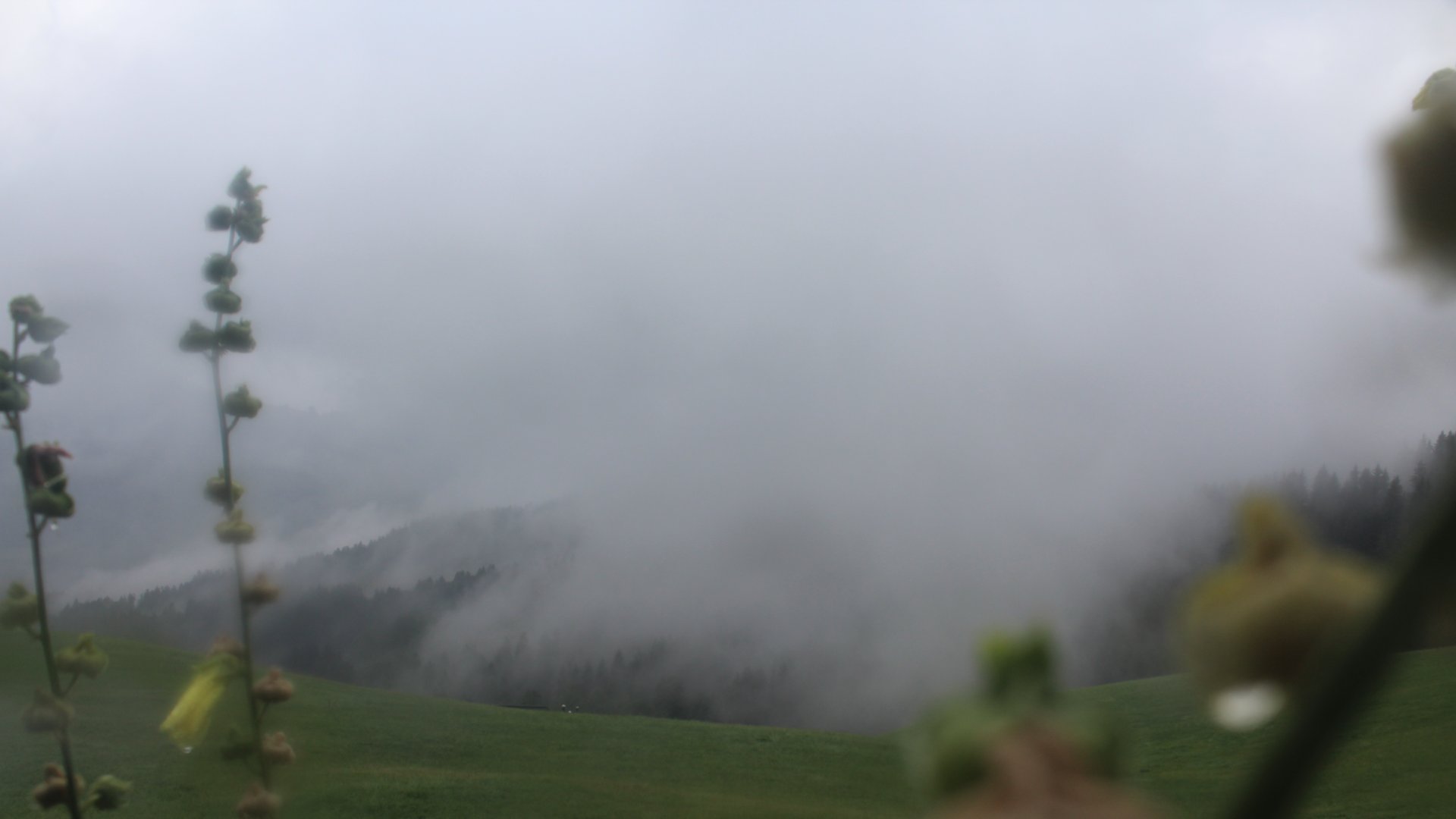 Live Ansicht Webcam Stoana Alm | Blick nach Süden
