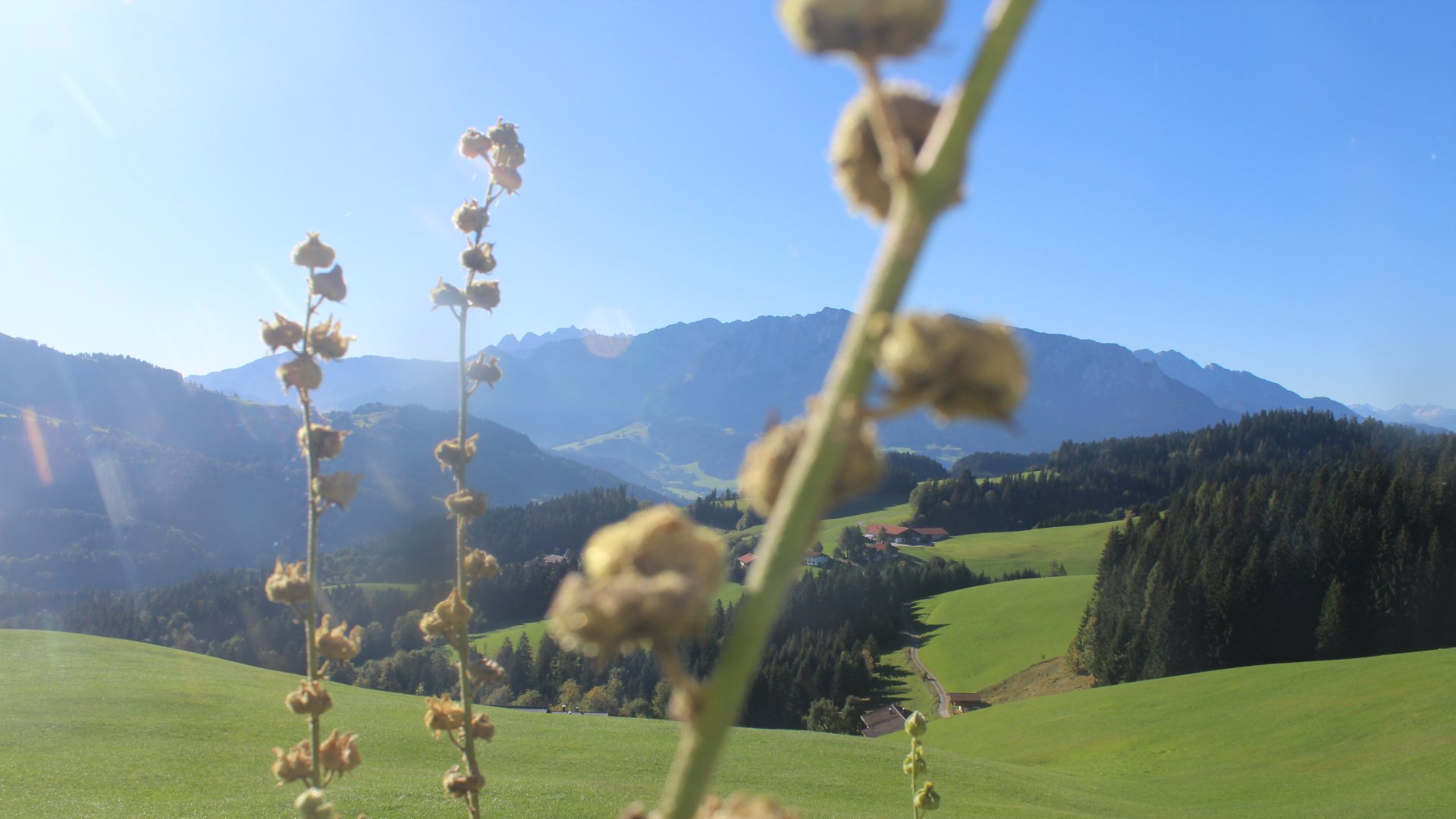 Live Ansicht Webcam Stoana Alm | Blick nach Süden