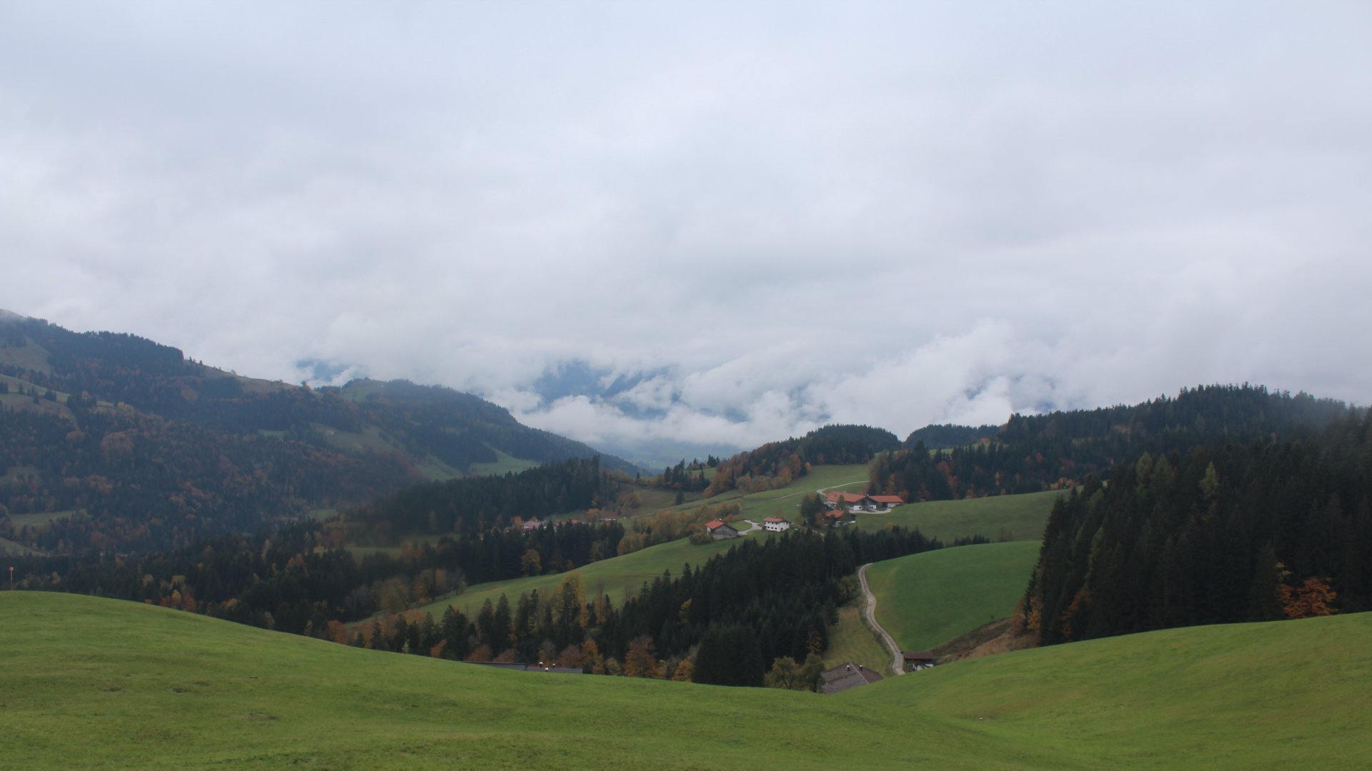 Live Ansicht Webcam Stoana Alm | Blick nach Süden