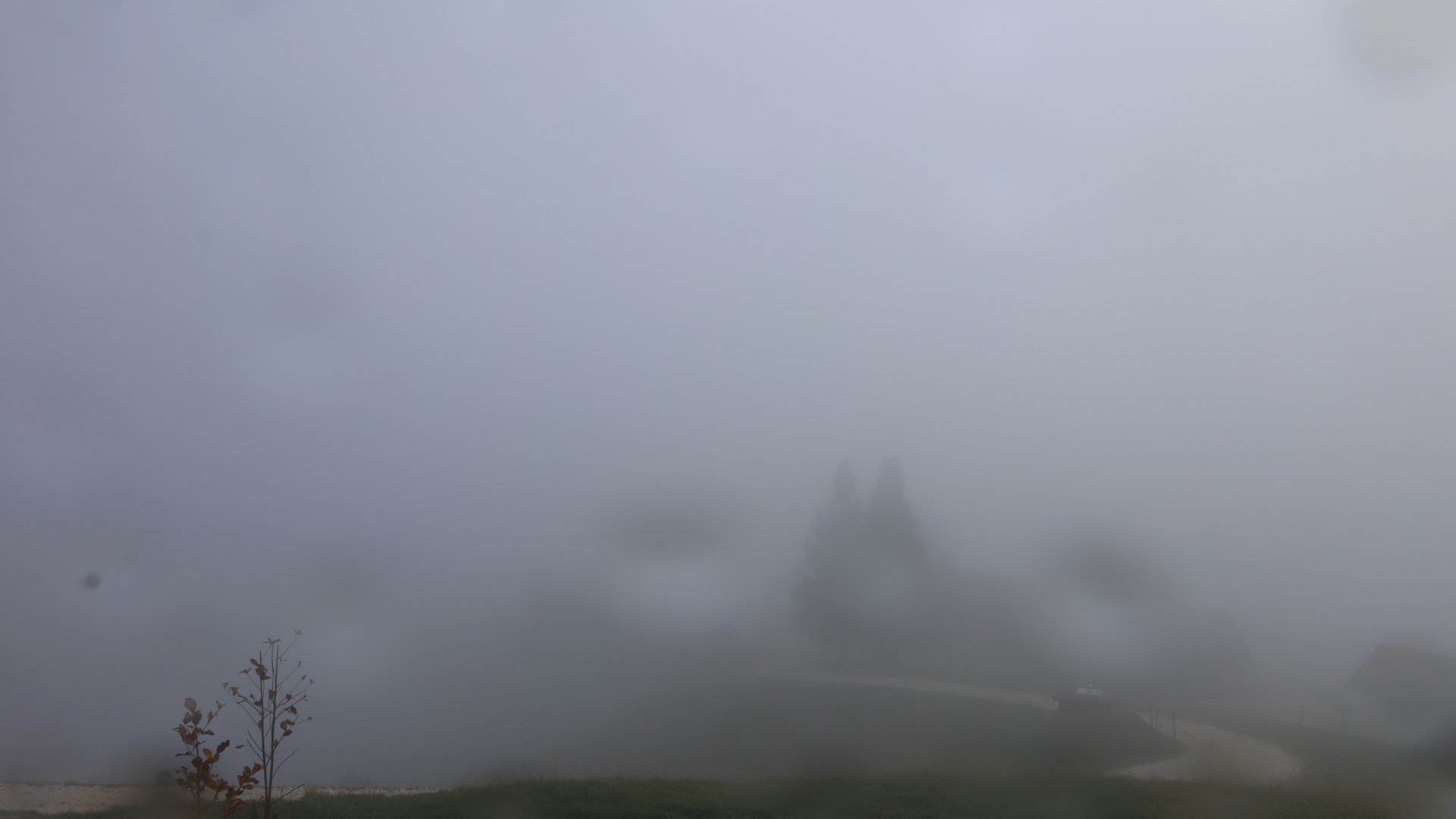 Live Ansicht Webcam Stoißer Alm