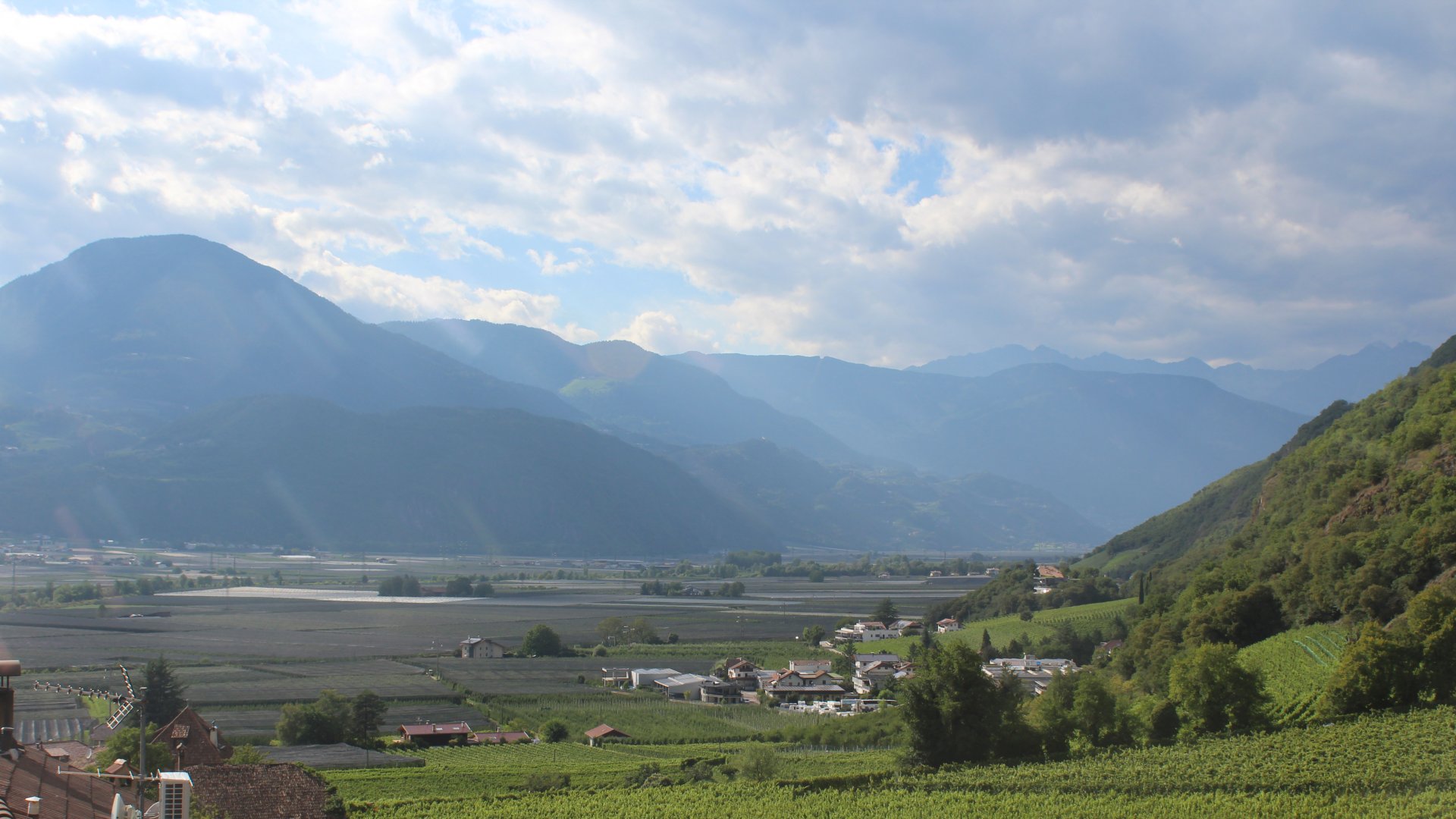 Live Ansicht Webcam Terlan mit Etschtal