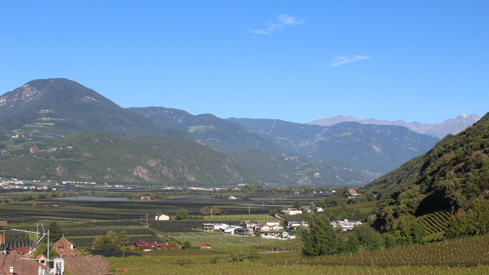 Live Ansicht Webcam Terlan mit Etschtal