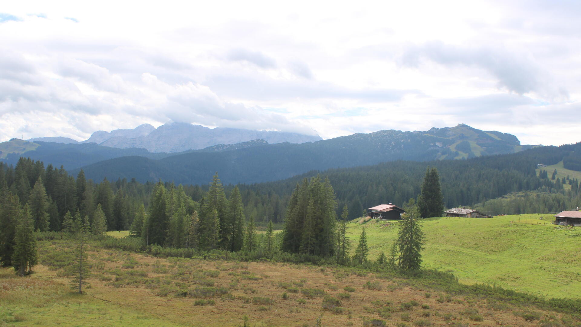 Live Ansicht Webcam Traunsteiner Skihütte Winklmoos