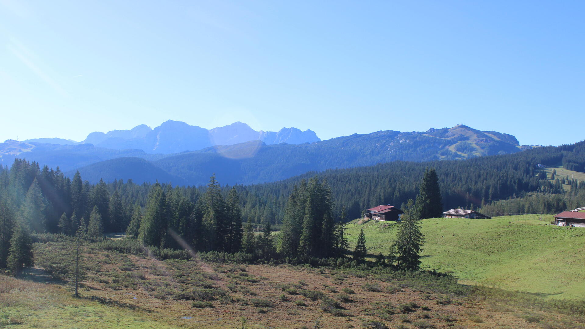 Live Ansicht Webcam Traunsteiner Skihütte Winklmoos