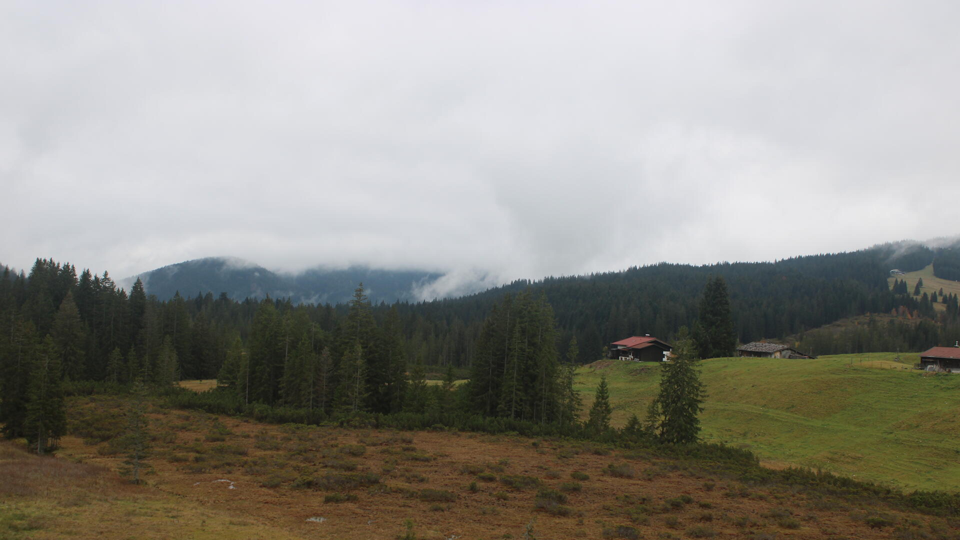 Live Ansicht Webcam Traunsteiner Skihütte Winklmoos