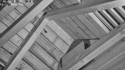 Fledermaushaus Waischenfeld #2