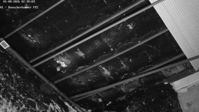 Fledermaushaus Waischenfeld #3