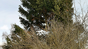 Fotowebcam Installation Donaueschingen