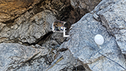 Fotowebcam Installation Bartgeier Nationalpark Berchtesgaden