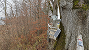 Fotowebcam Installation Chiemsee