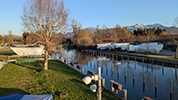 Überachungskameras Übersee