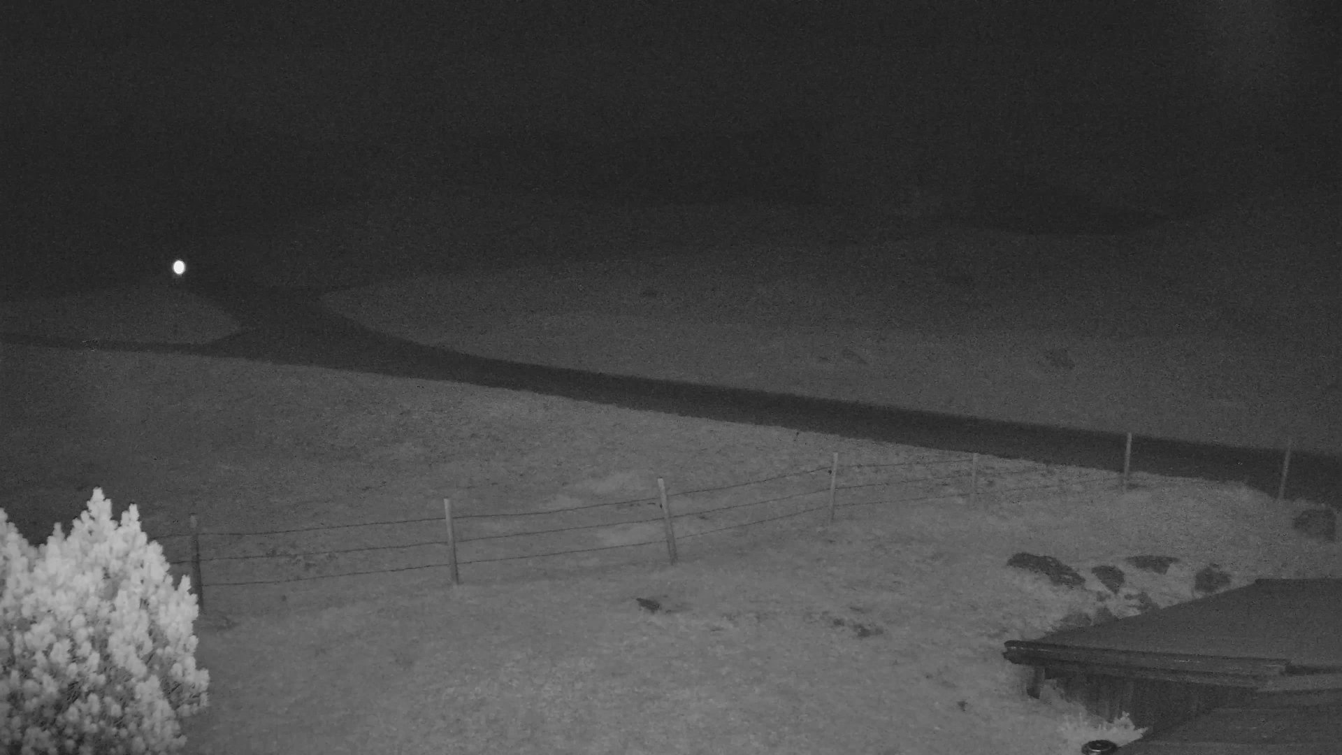 Fotowebcam