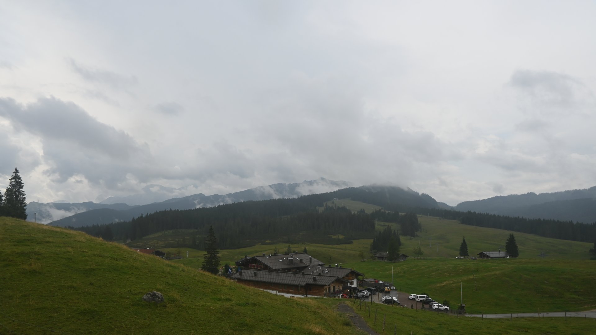 Live Ansicht Webcam Sonnenalm auf der Winklmoosalm